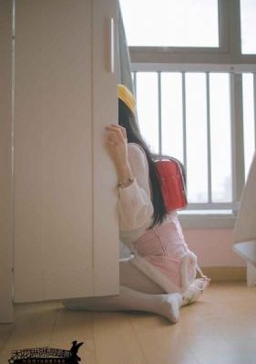 继承人电视剧